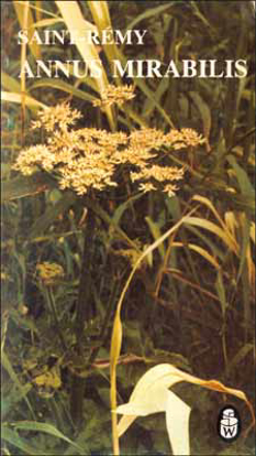 Picture of Annus Mirabilis