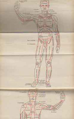 Afbeeldingen van Grundriss der Anatomie des Menschen. Für Studium und Praxis