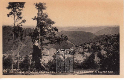 Picture of Le Hérou