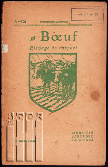 Picture of Bœuf. Élevage de rapport