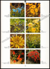 Afbeeldingen van 2000 fleurs, plantes et arbustes en couleur, nouveau dictionnaire pratique des fleurs, plantes et arbustes de plein air et d'intérieur