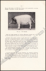 Afbeeldingen van Le porc: zootechnie générale : hygiène, alimentation