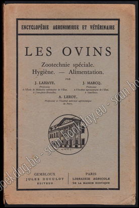 Picture of Les ovins, zootechnie spéciale, hygiène, alimentation
