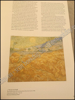 Afbeeldingen van Munch : Van Gogh