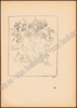 Image de Sélection. Cronique de la vie artistique et Littéraire. Année 6, N° 4. Janvier 1927. Floris JESPERS