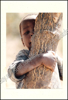 Picture of Natotela Sana, Chisuma Mukwai Africa. Zes weken Zambia, Zanzibar en Zimbabwe