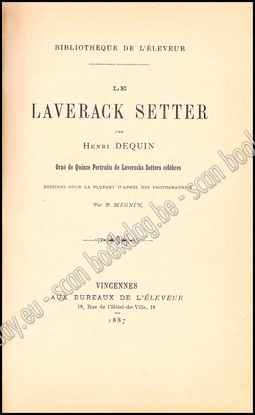 Picture of Le Laverack Setter