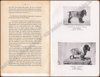 Image de Le Sporting Spaniel, suivi d'une étude sur le Cocker et les Auteurs contemporains