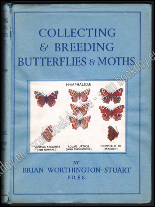 Image de Collecting and Breeding Butterflies & Moths