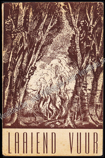 Picture of Laaiend vuur. Werkboek voor een schoon en stijlvol kampvuur