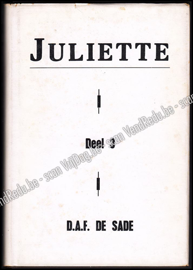 Image de Juliette. Deel 3. (roman vertaald uit het Frans)