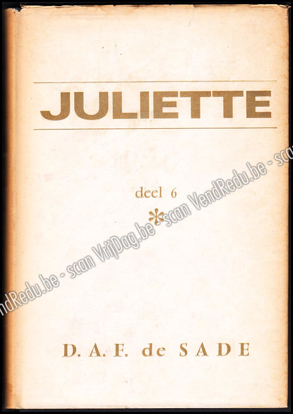 Picture of Juliette. Deel 6. (roman vertaald uit het Frans)