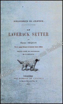 Picture of Le Laverack Setter