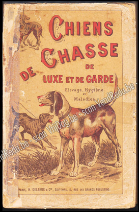 Image de Les chiens : chiens de luxe et d'utilité, chiens de chasse, nomenclature, description, élevage, hygiène et maladies