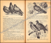 Picture of Dieren in en om het huis