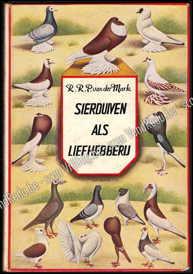 Afbeeldingen van Sierduiven als liefhebberij