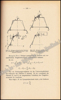 Picture of Bauelemente des Flugzeuges