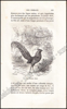 Picture of Histoire Naturelle des Oiseaux, des Reptiles et des Poissons