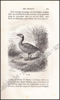 Picture of Histoire Naturelle des Oiseaux, des Reptiles et des Poissons
