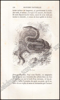 Picture of Histoire Naturelle des Oiseaux, des Reptiles et des Poissons