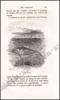 Picture of Histoire Naturelle des Oiseaux, des Reptiles et des Poissons