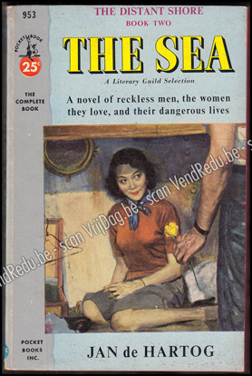 Picture of The Sea (Book Two of 'The Distant Shore')
