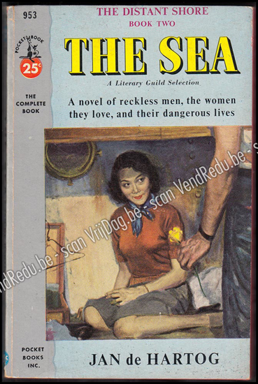 Picture of The Sea (Book Two of 'The Distant Shore')